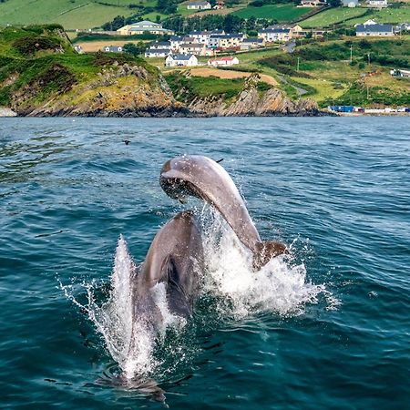 Realt Na Mara Villa Killybegs Kültér fotó